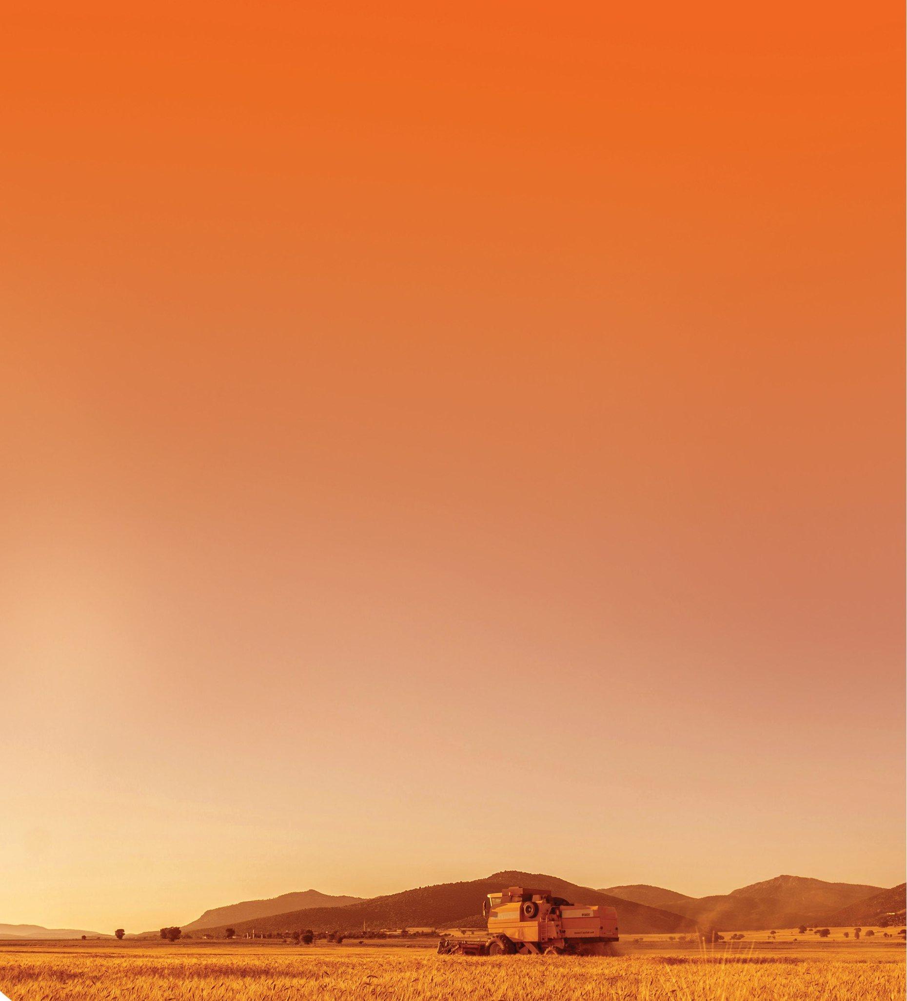 A combine harvester working a golden wheat field under a warm orange sky